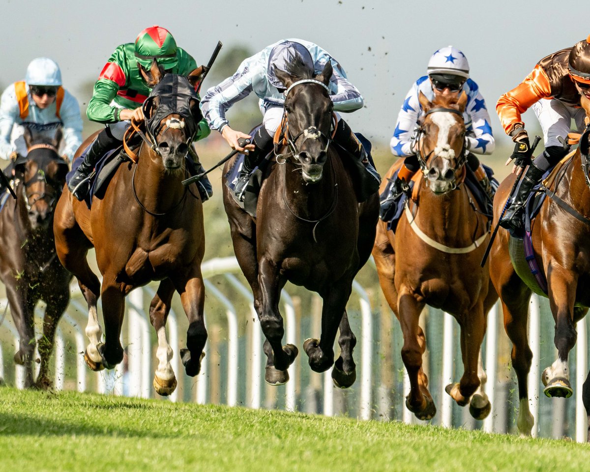 Brighton Racecourse (@brightonrace) on Twitter photo RACE 6 RESULT - The Streamline Always Leading The Way Handicap Stakes
🥇 Kodi Fire
🥈 Ruling Master
🥉 Amor Cordis
Jockey: <a href="/_JasonWatson/">Jason Watson</a>
Trainer: Charles Hills
Owner: Hills Angels
📸 <a href="/dcoolimages/">Darren Cool Images</a> RACE 6 RESULT - The Streamline Always Leading The Way Handicap Stakes
🥇 Kodi Fire
🥈 Ruling Master
🥉 Amor Cordis
Jockey: <a href="/_JasonWatson/">Jason Watson</a>
Trainer: Charles Hills
Owner: Hills Angels
📸 <a href="/dcoolimages/">Darren Cool Images</a>