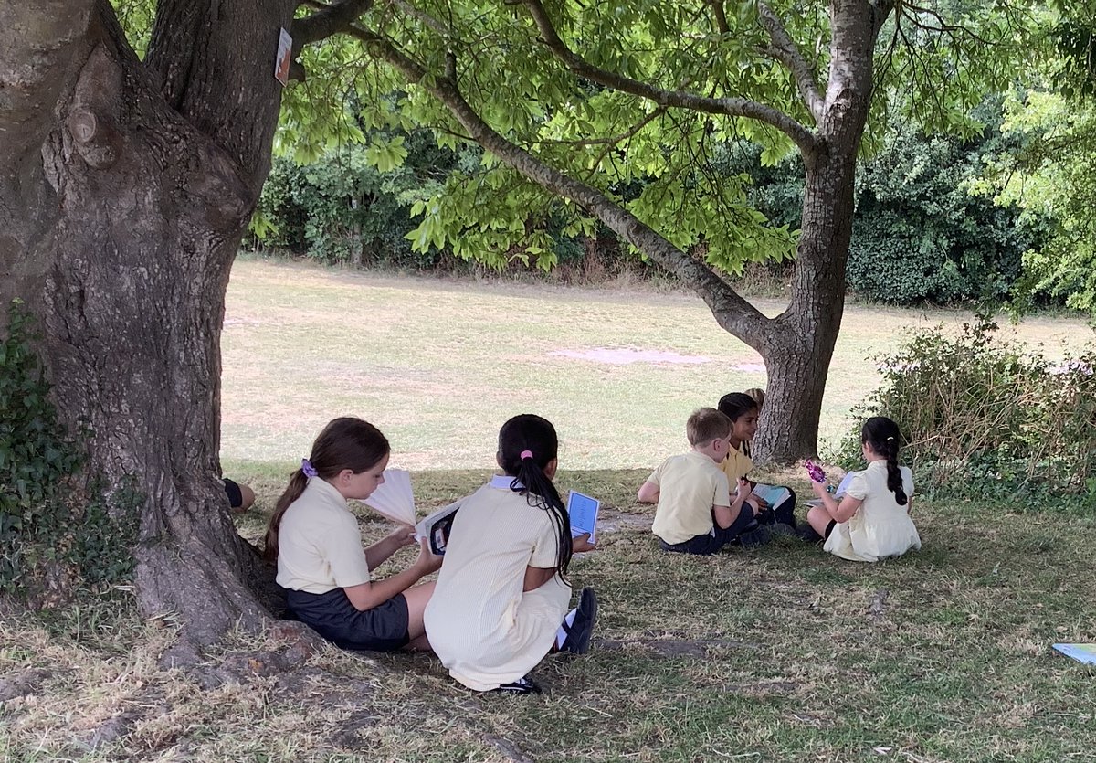 Year 3 escaped the heat of the classroom today and found refuge in the shade—and in the pages of a good book ☀️📖

#ReadingForPleasure #OutdoorLearning #LoveOfReading