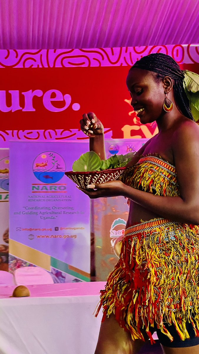 OWC_ug's tweet image. A breathtaking moment at the Coffee Fyre Fest as Fatima from Northern Uganda led a stunning coffee-inspired fashion show that captivated the crowd!
Each piece told a story, drawing from the deep browns of roasted beans, the golden hues of brewed coffee, and the rich creams of…