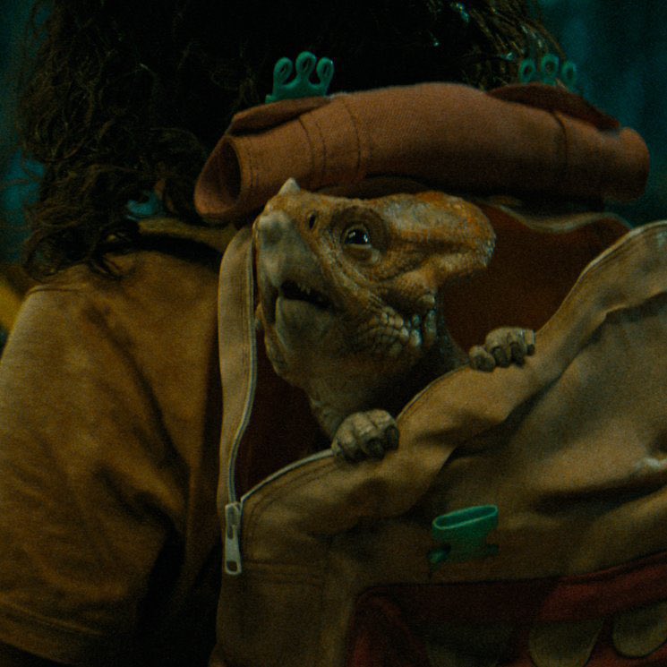 Official BOO CTO tweet media