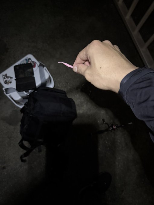 久々にちょっと時間ができたのでアジングに来たぞ! 