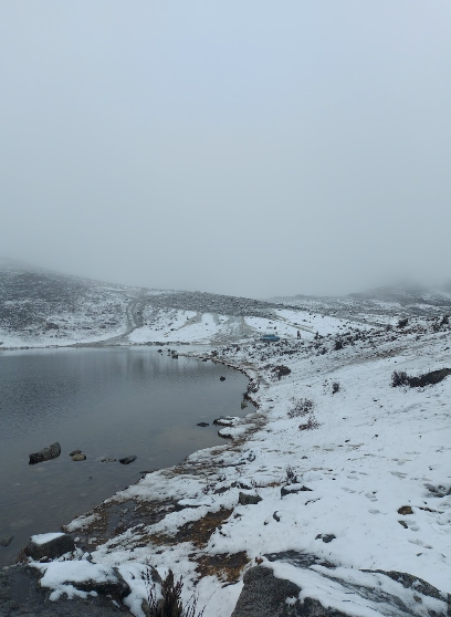 Venezuelensis Andium Venustas Aesthetics (@andiumvenuaest) on Twitter photo 