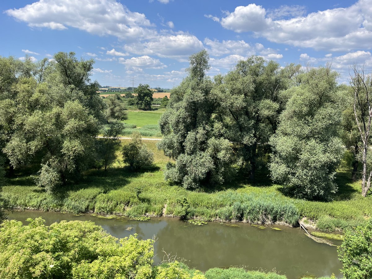 Tim Foster (@blencathratim) on Twitter photo Visited Roman site at Abusina 🇩🇪 excavated 1879 -1919.
Abusina was part of a first series of forts established along the Danube,eventually part of the Obergermanisch-Raetische Limes', the German limes .Good interpretation panels <a href="/TheRomanSoc/">Roman Society</a> <a href="/Pastpreservers/">Nigel J.Hetherington 🏳️🌈🇪🇺</a> <a href="/pete_savin/">Pete Savin</a> Visited Roman site at Abusina 🇩🇪 excavated 1879 -1919.
Abusina was part of a first series of forts established along the Danube,eventually part of the Obergermanisch-Raetische Limes', the German limes .Good interpretation panels <a href="/TheRomanSoc/">Roman Society</a> <a href="/Pastpreservers/">Nigel J.Hetherington 🏳️🌈🇪🇺</a> <a href="/pete_savin/">Pete Savin</a>