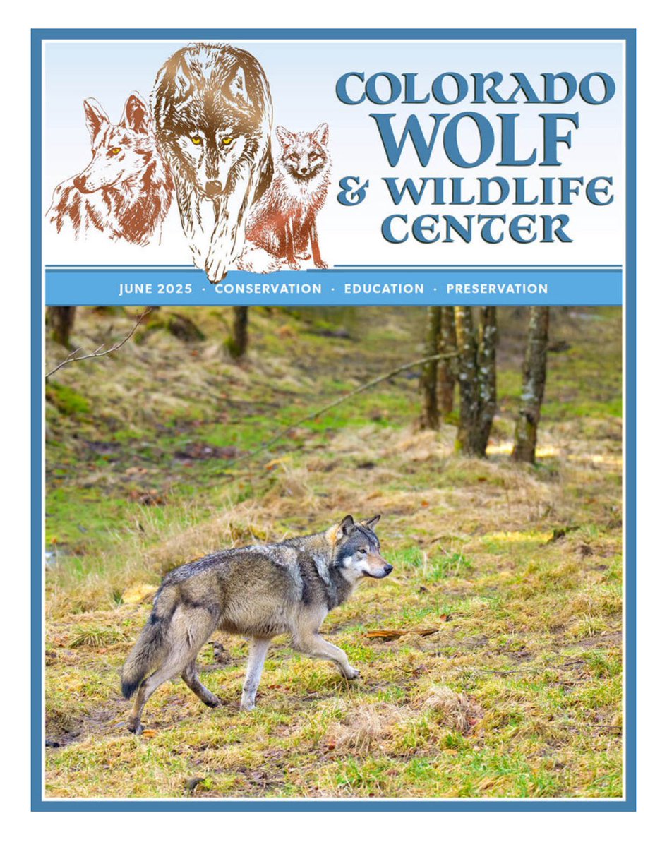 SamanthasLaw's tweet image. #CWWC 
wolfeducation.org