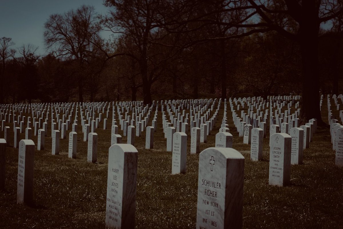 carmen_author's tweet image. #vss365

#Patriots resting in full regalia beneath white marble markers, 
rise as one and march off from lawn-covered landscapes.
An army of long-forgotten souls advancing on the horizon.
Countless companies in cadence on some clandestine campaign.
#quiethorror #horrorpoetry