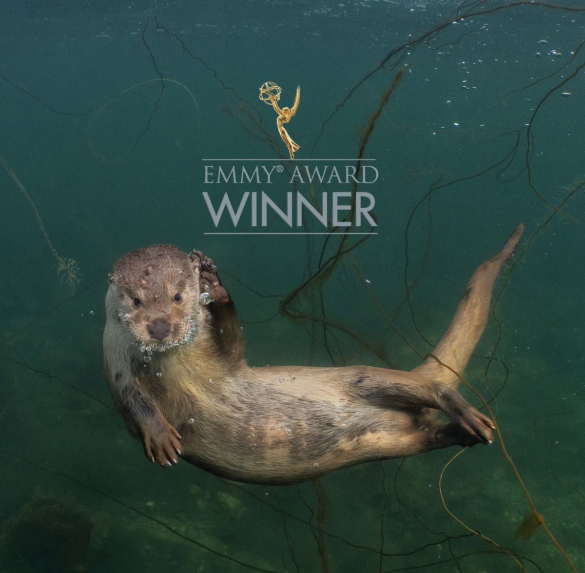 dceff_org's tweet image. Congratulations to the BILLY & MOLLY team on their Emmy Award wins for Outstanding Writing and Outstanding Promotional Announcement last week!
Definitely one of the most beloved films from the past few years of DCEFF, it's now streaming on Disney+.