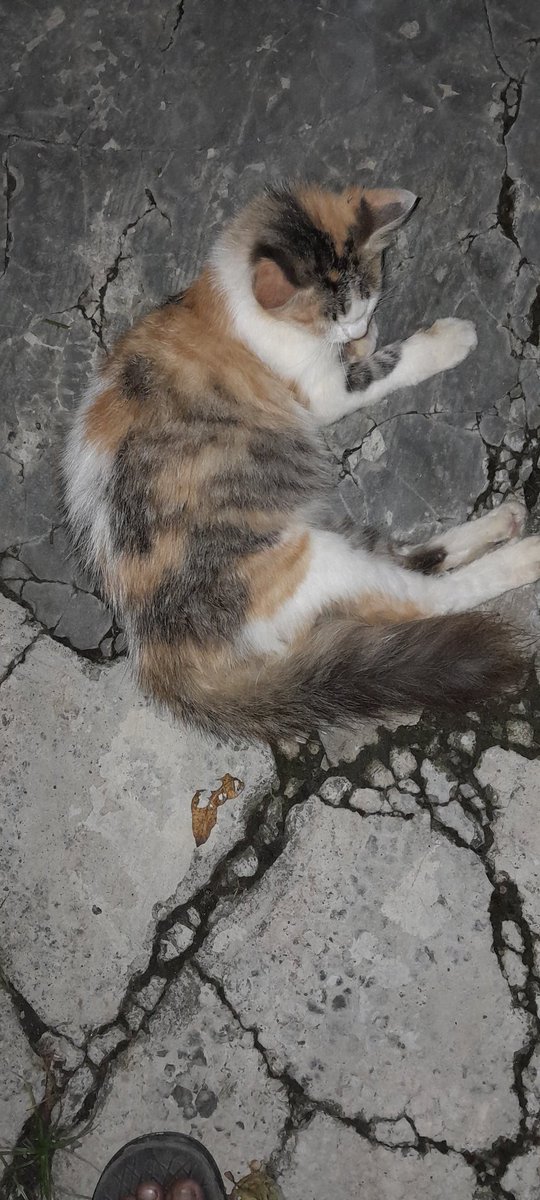 Udah ngantuk mo tidur dulu yaa...
Sweet dream..❤️❤️❤️💥