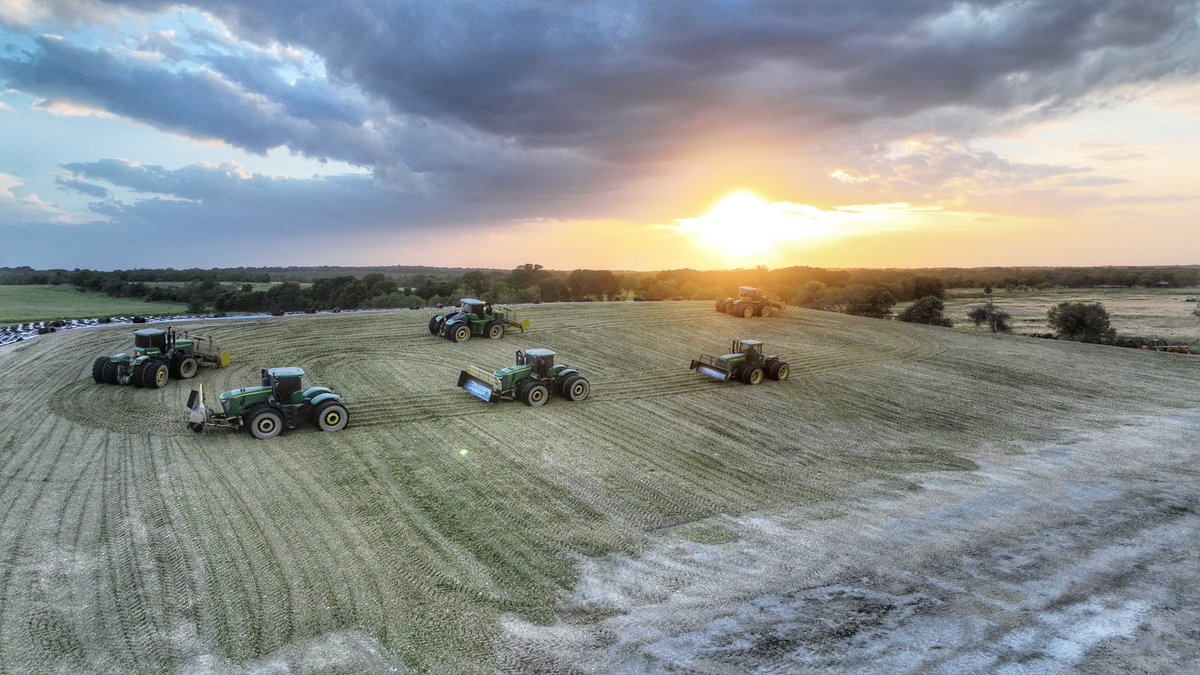 LindsayKimbrell's tweet image. Silage is in full swing in our area. Set to be record tons here and another pit is overbooked. Hopefully a good sign for yields later! 
#silage #cowchow #texascorn