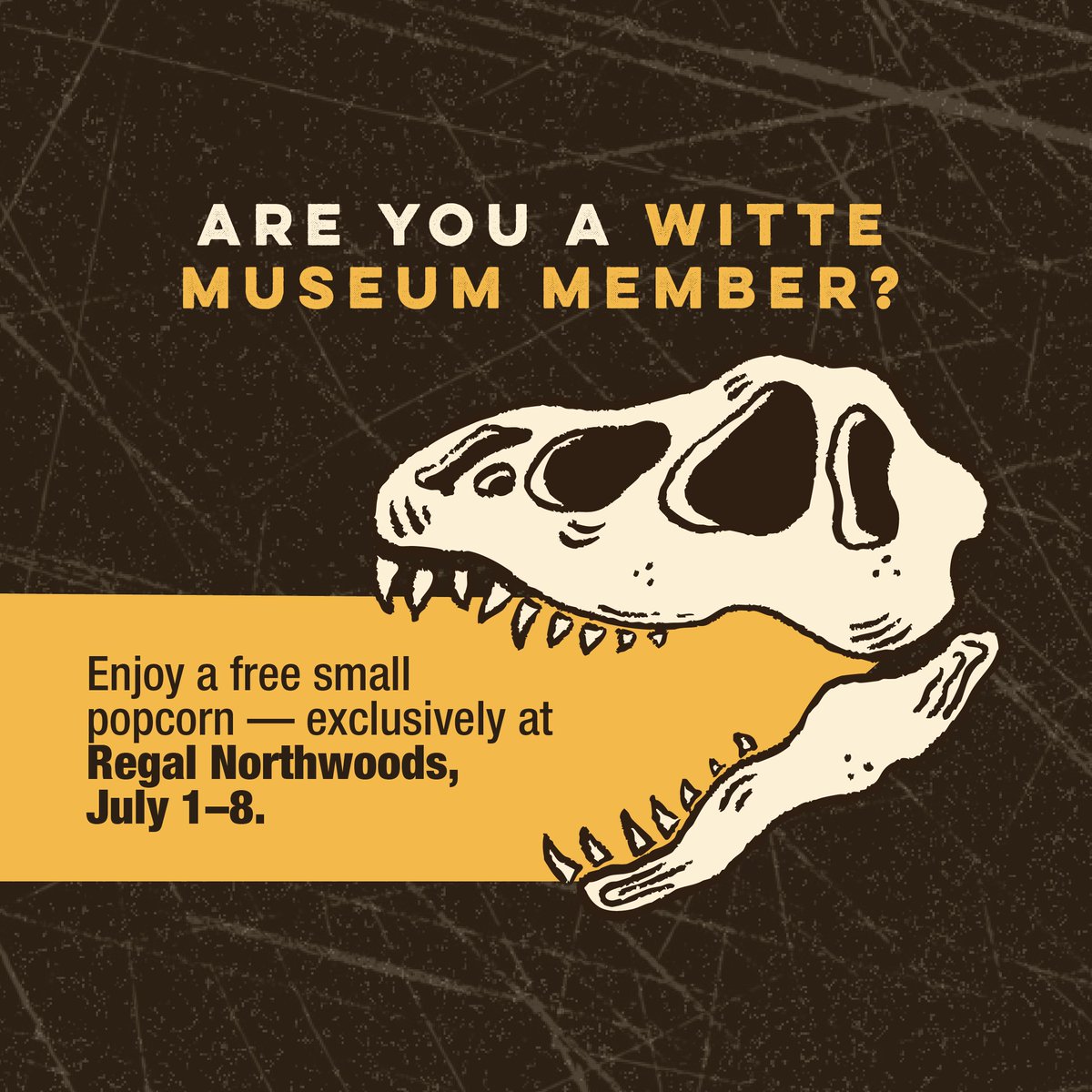 It’s Jurassic July at the Witte Museum!
Your dinosaur adventure doesn’t have to end at the movies. Come explore real fossils and creatures that once roamed Texas! Show your Jurassic World: Rebirth movie receipt and receive $2 off General Museum Admission through July.