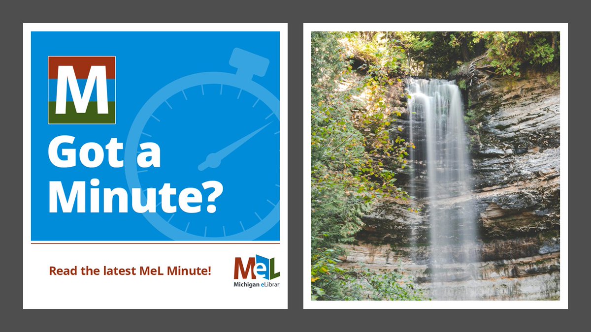 Michigan eLibrary tweet media