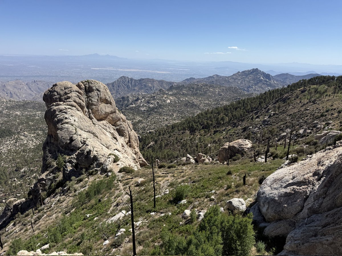 Jason P. Skoda (@jasonpskoda) on Twitter photo Ive done 21 hikes in 40 days in the Arizona heat and I've been using <a href="/Team_Optimum/">Optimum Nutrition</a> blueberry lemonade as my recovery drink
It gives me all I need to stay hydrated and energized the rest of the day.
#Replenished #NoSugar #WhatIsYourFavoriteFlavor Ive done 21 hikes in 40 days in the Arizona heat and I've been using <a href="/Team_Optimum/">Optimum Nutrition</a> blueberry lemonade as my recovery drink
It gives me all I need to stay hydrated and energized the rest of the day.
#Replenished #NoSugar #WhatIsYourFavoriteFlavor