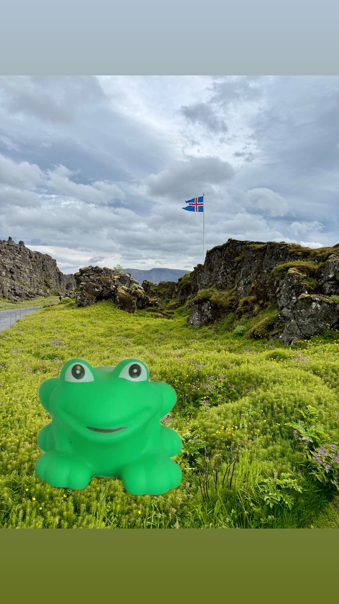 Mr Harchak and Froskur enjoyed a trip to Iceland!