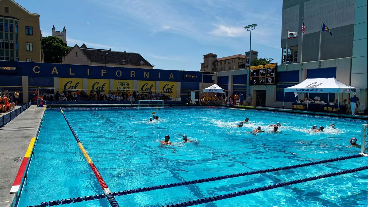 NEWS: Historic Gift Secures Future Of Cal Men’s Aquatics programs  

🗞️: calbea.rs/4l9DKkM 

#GoBears