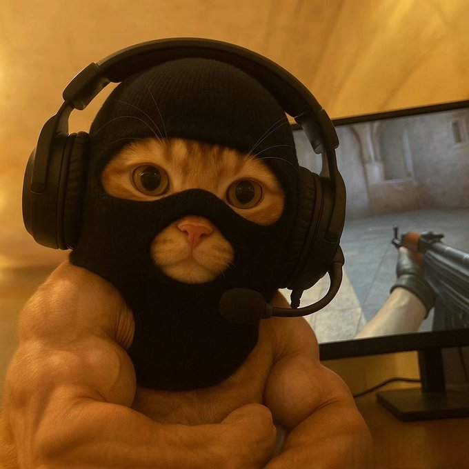 CryptoBio_'s tweet photo. Who  wins the community battle ??? 

$DOG  🔃                           or                          $MASK ❤️ https://t.co/4Oa5Icc7jt