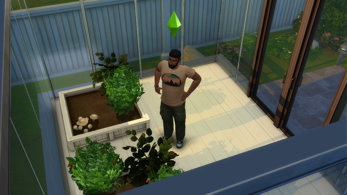 TheSims4it's tweet image. Bug? Plants and Sims appear dark inside rooms made entirely of glass walls 😢
