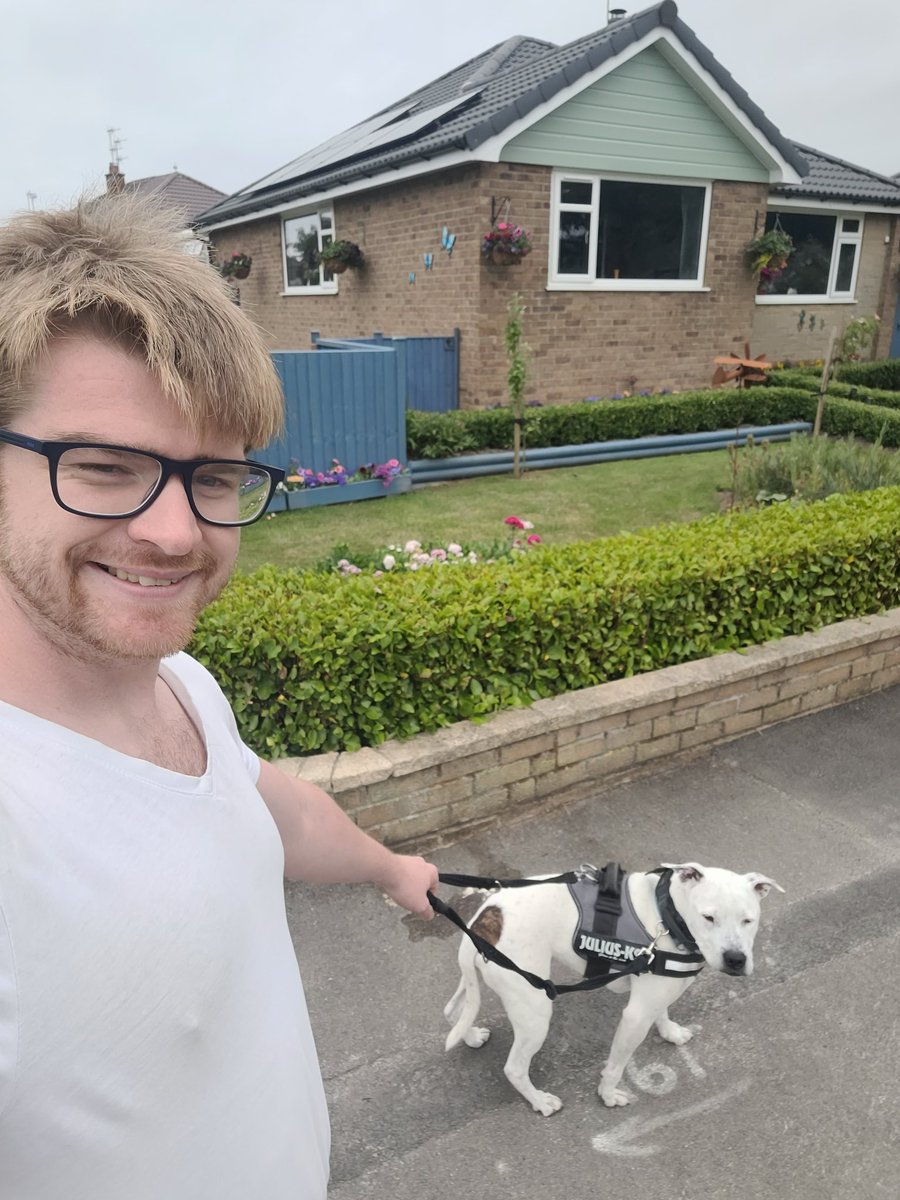 A rare tweet, but he got well known on here. Sadly we lost Oscar this afternoon. Travelled 1100 miles at 4am to get to the Yorkshire Coast to spend a wonderful afternoon together. Rest well little man, the goodest of good boys who I loved dearly.