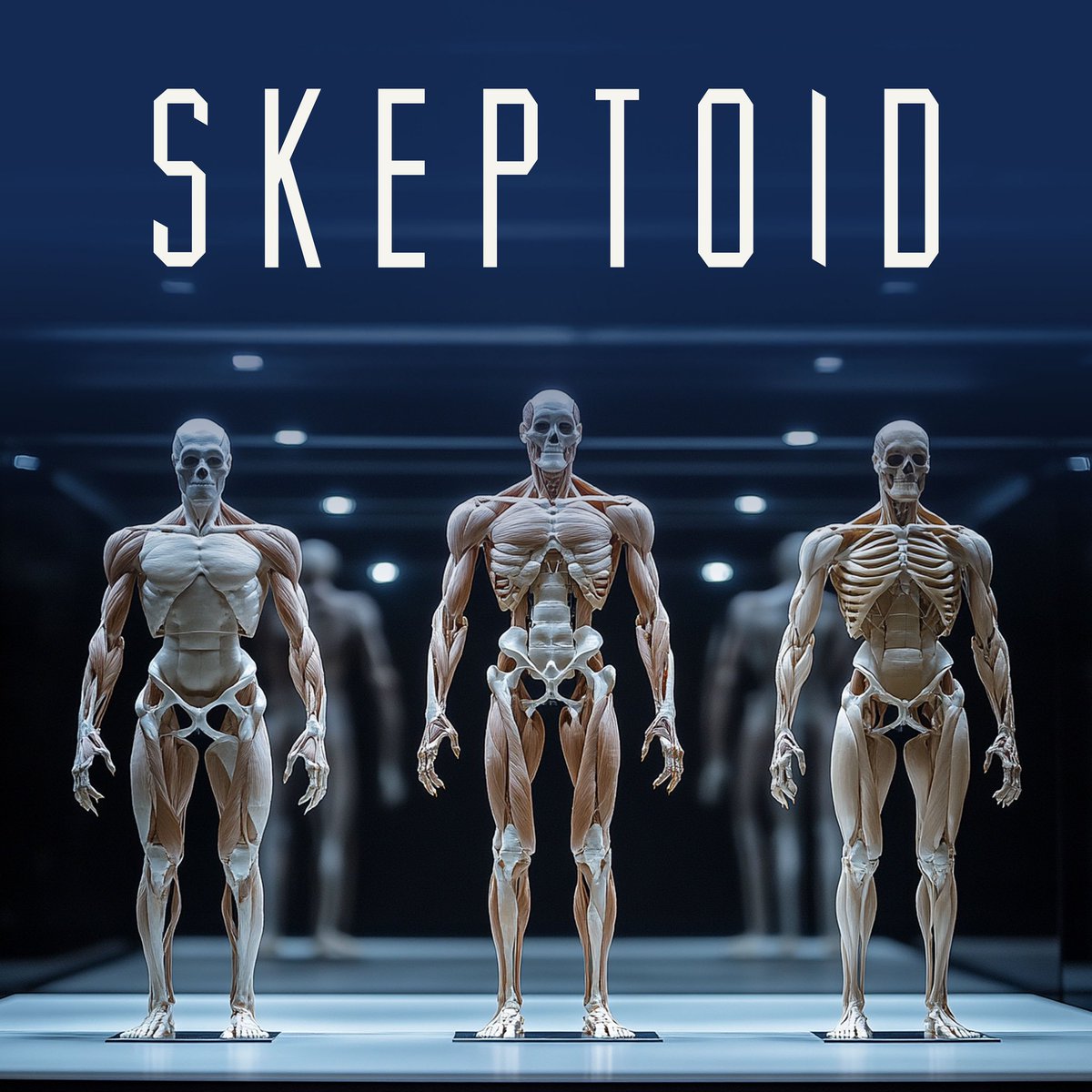 Is there good science backing up the idea that you should eat based upon which of three body types you have?

This weeks guest episode brought to you by Ashley Hamer.

skeptoid.com/episodes/4995