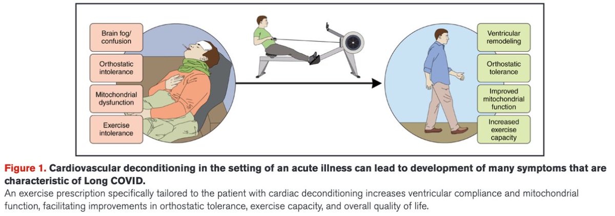 Diego Segura-Rodríguez (@seguracardio) on Twitter photo ⚠️Exercise Intolerance & Response to Training in 👥 w/ Postacute Sequelae of SARS-CoV2 (#LongCOVID): A Scientific 📝 the <a href="/American_Heart/">American Heart Association</a>
#AHA #PositionPaper #COVID19 #Exercise ⚠️Exercise Intolerance & Response to Training in 👥 w/ Postacute Sequelae of SARS-CoV2 (#LongCOVID): A Scientific 📝 the <a href="/American_Heart/">American Heart Association</a>
#AHA #PositionPaper #COVID19 #Exercise