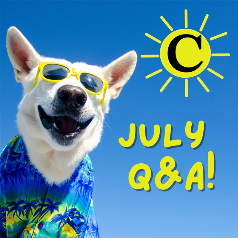 The Chicago Manual of Style tweet media