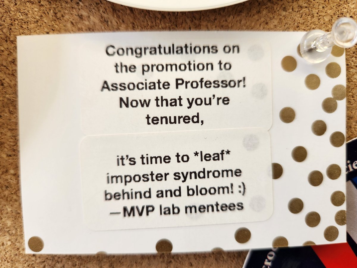 Anna Stanhewicz tweet media