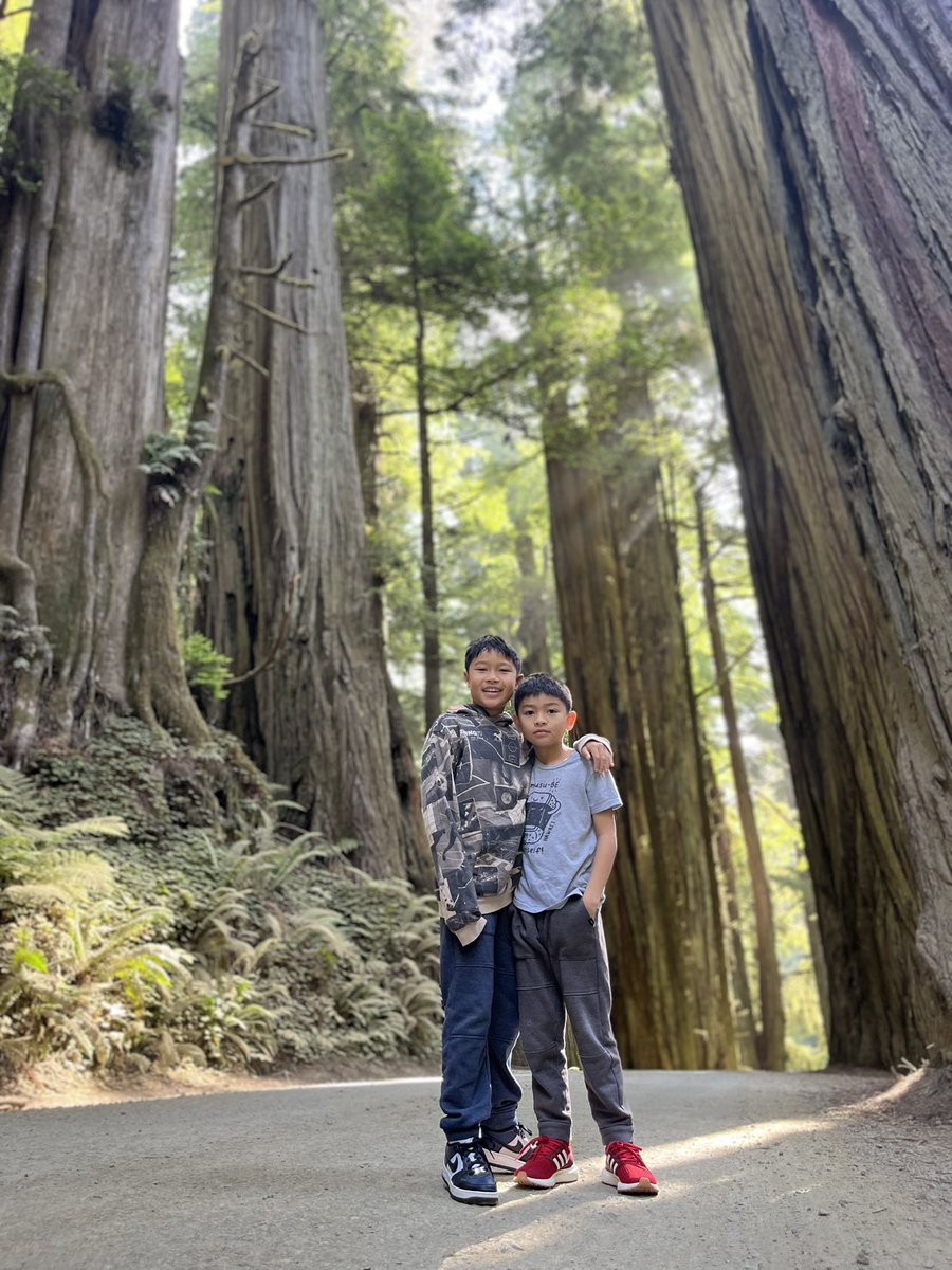 curtisjay1's tweet photo. Out looking for trees #Redwoods https://t.co/9evSZR9MoL