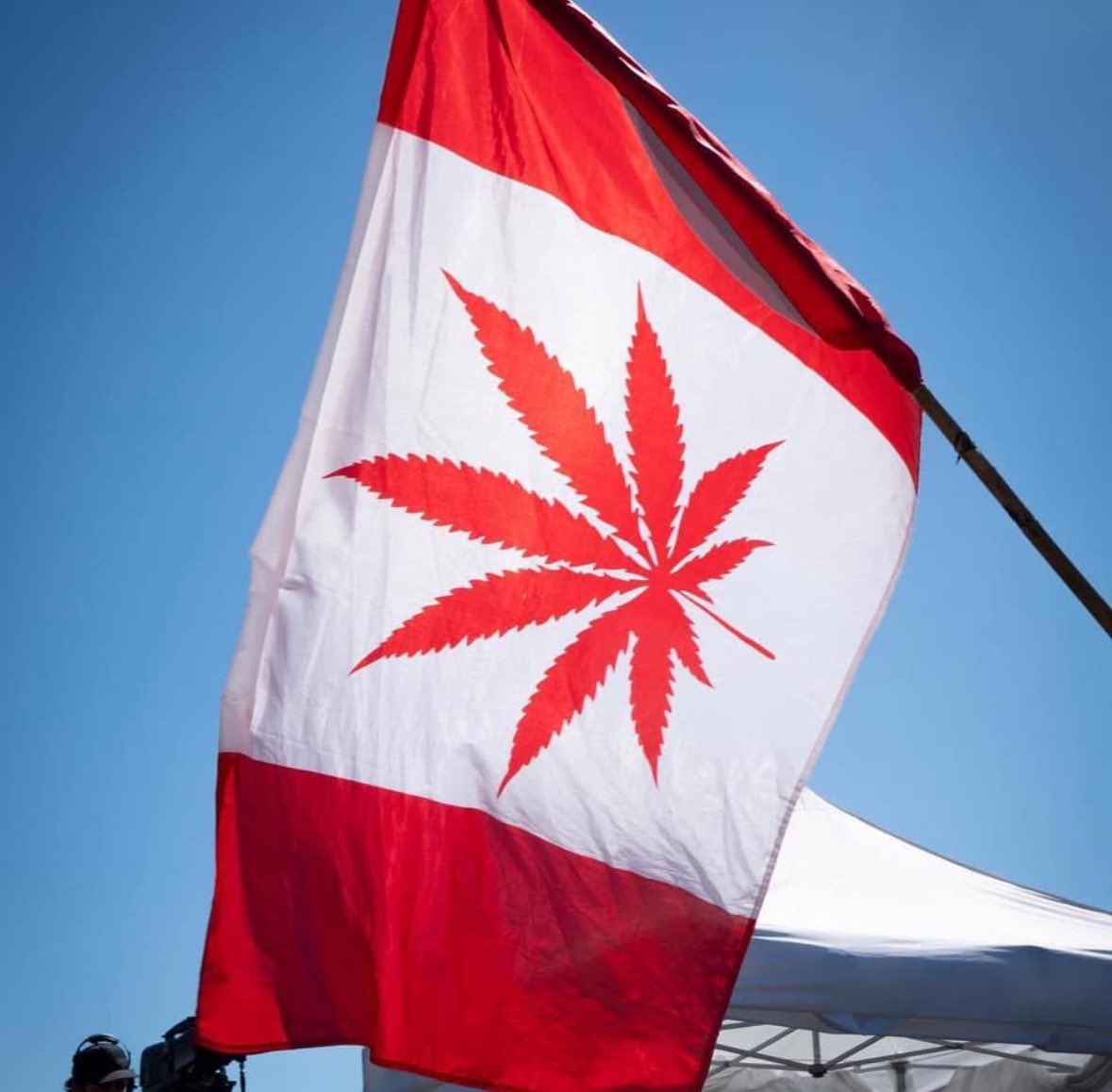 Cannabis Culture tweet media