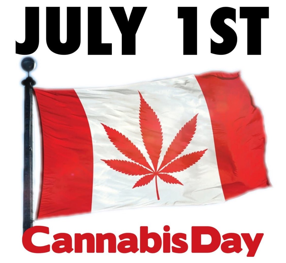 Cannabis Culture tweet media