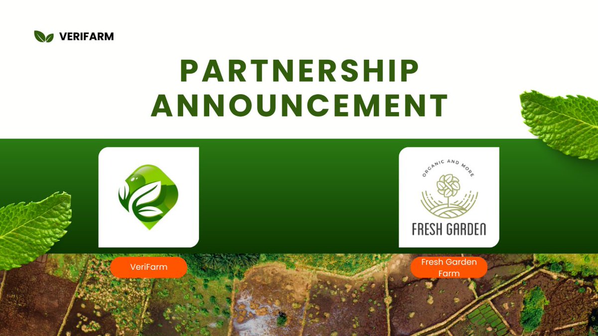 VeriFarmGlobal's tweet photo. We are excited to announce our strategic partnership with Fresh Garden Farm, a trusted supplier of clean and sustainable vegetables to urban households. This collaboration brings together blockchain-powered agriculture and urban farming innovation 🌿
#RWA #Vfarm #agritech https://t.co/Z1Igiycr8M