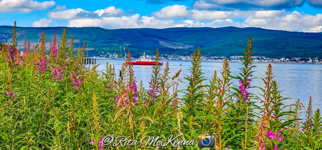 Rita McKenna (@ritamckenna11) on Twitter photo I spy with my little eye....
The Sound of Soay
<a href="/discinverclyde/">Discover Inverclyde</a> <a href="/Western_Ferries/">Western Ferries</a> <a href="/DiscoverScotlnd/">Discover Scotland</a> #westernferries
#riverclyde #gourock #TuesdayMotivaton #Tuesday #tuesdayvibe I spy with my little eye....
The Sound of Soay
<a href="/discinverclyde/">Discover Inverclyde</a> <a href="/Western_Ferries/">Western Ferries</a> <a href="/DiscoverScotlnd/">Discover Scotland</a> #westernferries
#riverclyde #gourock #TuesdayMotivaton #Tuesday #tuesdayvibe