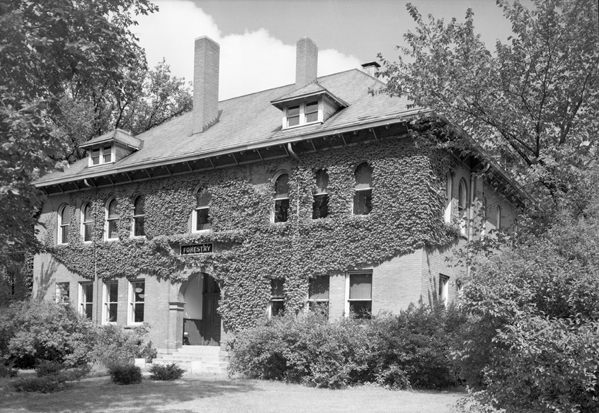 #DYK that the exterior of the Forestry Building was covered in ivy in 1950? This photograph taken in August of 1950 shows the beautiful ivy covered walls. #MSUHistory
