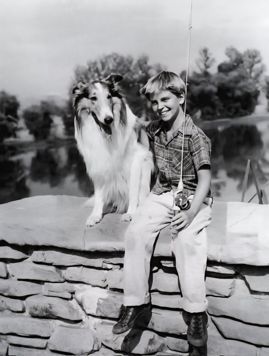 lippyent's tweet image. Without saying Lassie, Name a TV Series 📺 with an animal as the main character? Hmm 😒 🤔?¿