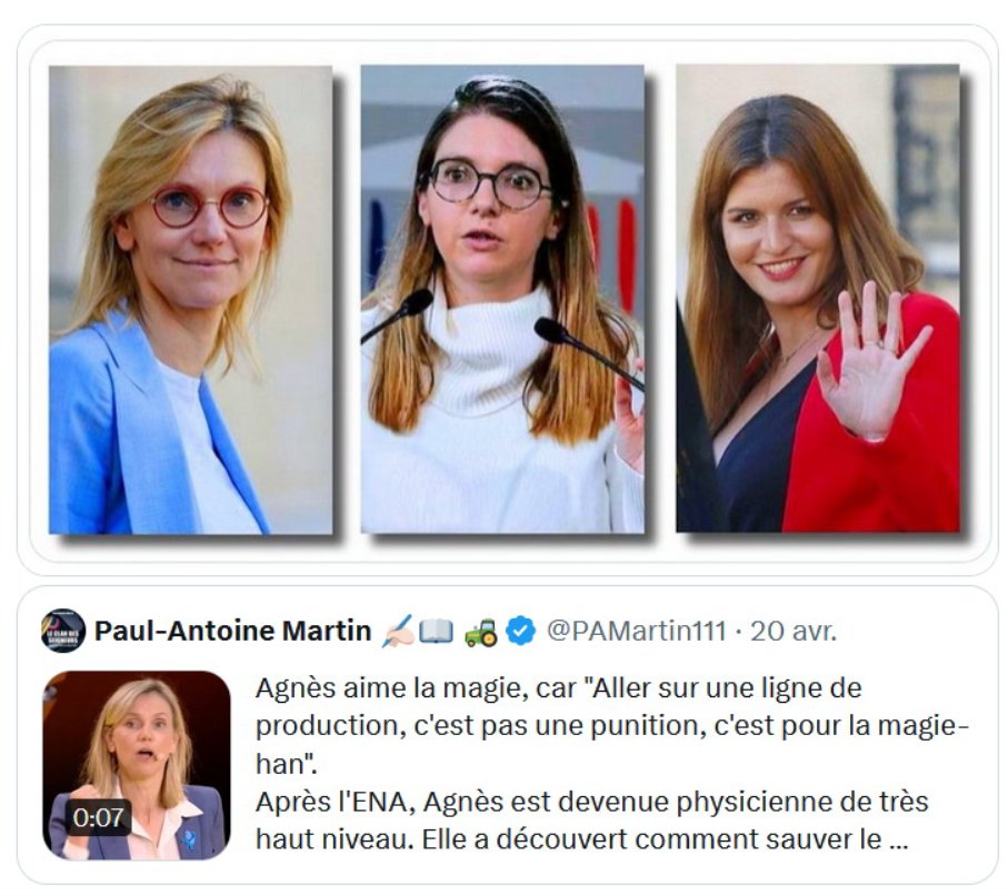 Même si elles nous coûtent une BLINDE, 
MACRON a bien dressé ses "DINDES"...
