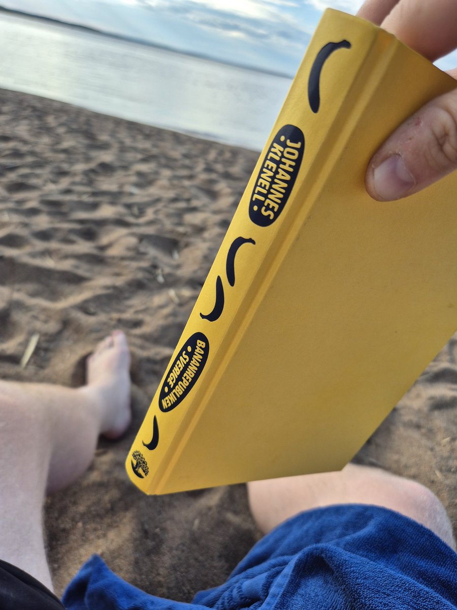 Provocerande beachlektyr signerad <a href="/JohannesKlenell/">Johannes Klenell</a>