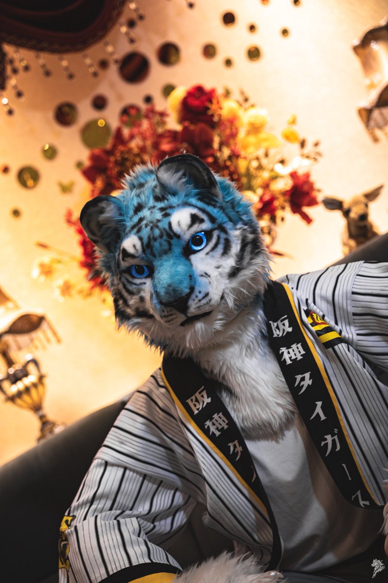 scott_visnjic's tweet image. Kricka 🥰

📷 @chiuwolf
