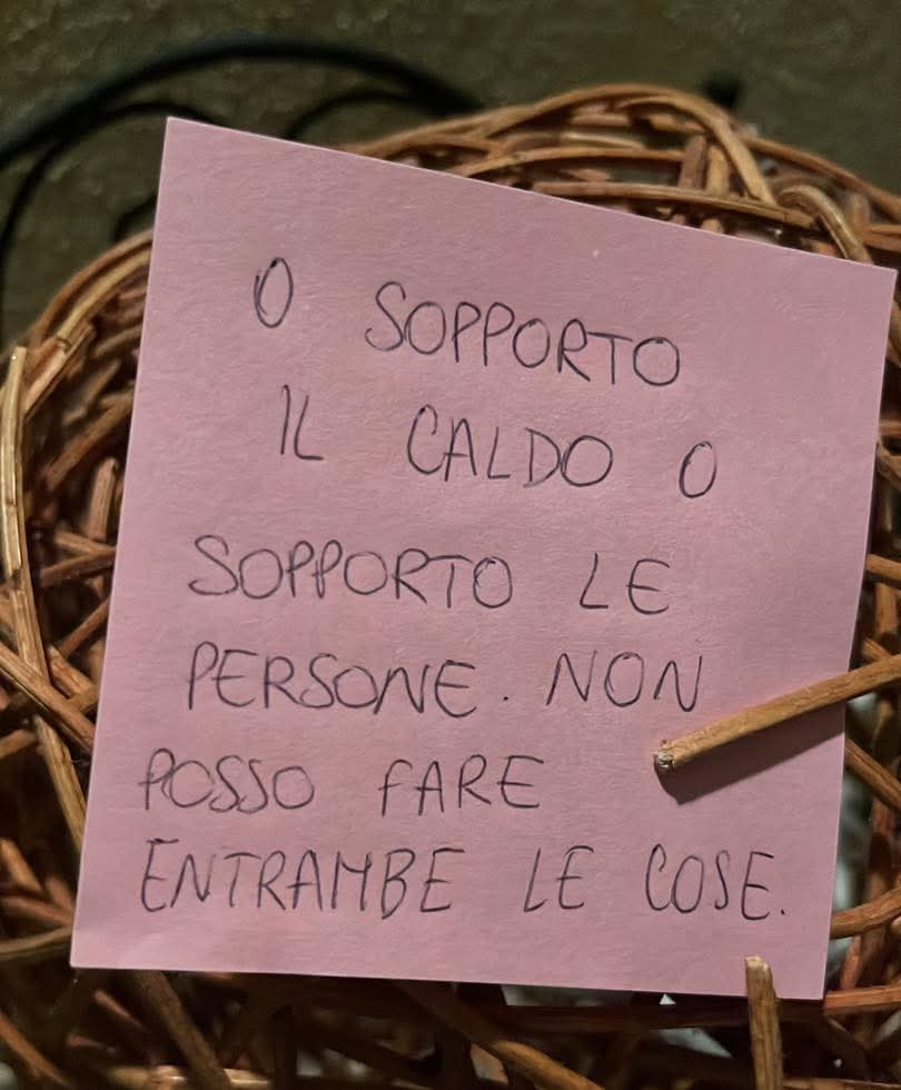 EmileeLy's tweet image. 