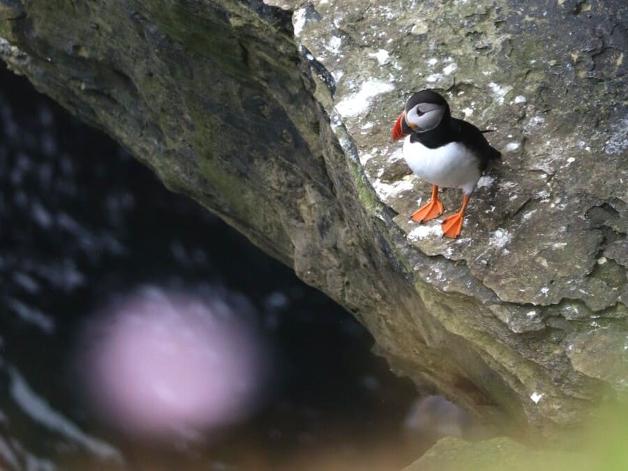 🆕 Ruta por las islas Orcadas, la Escocia más auténtica y desconocida la encontrarás en este remoto archipiélago en la costa norte ¡una de las capitales megalíticas del mundo! 👇
lacosmopolilla.com/ruta-por-las-i… #LoveGreatBritain #VisitBritain <a href="/VisitBritain/">VisitBritain 🇬🇧</a>