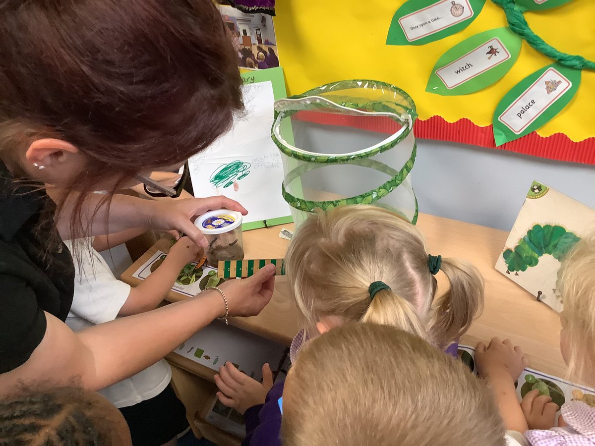 Rachel Micklewright tweet media