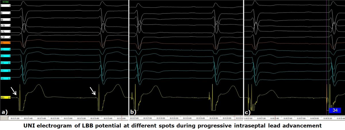 Giovanni Coluccia tweet media