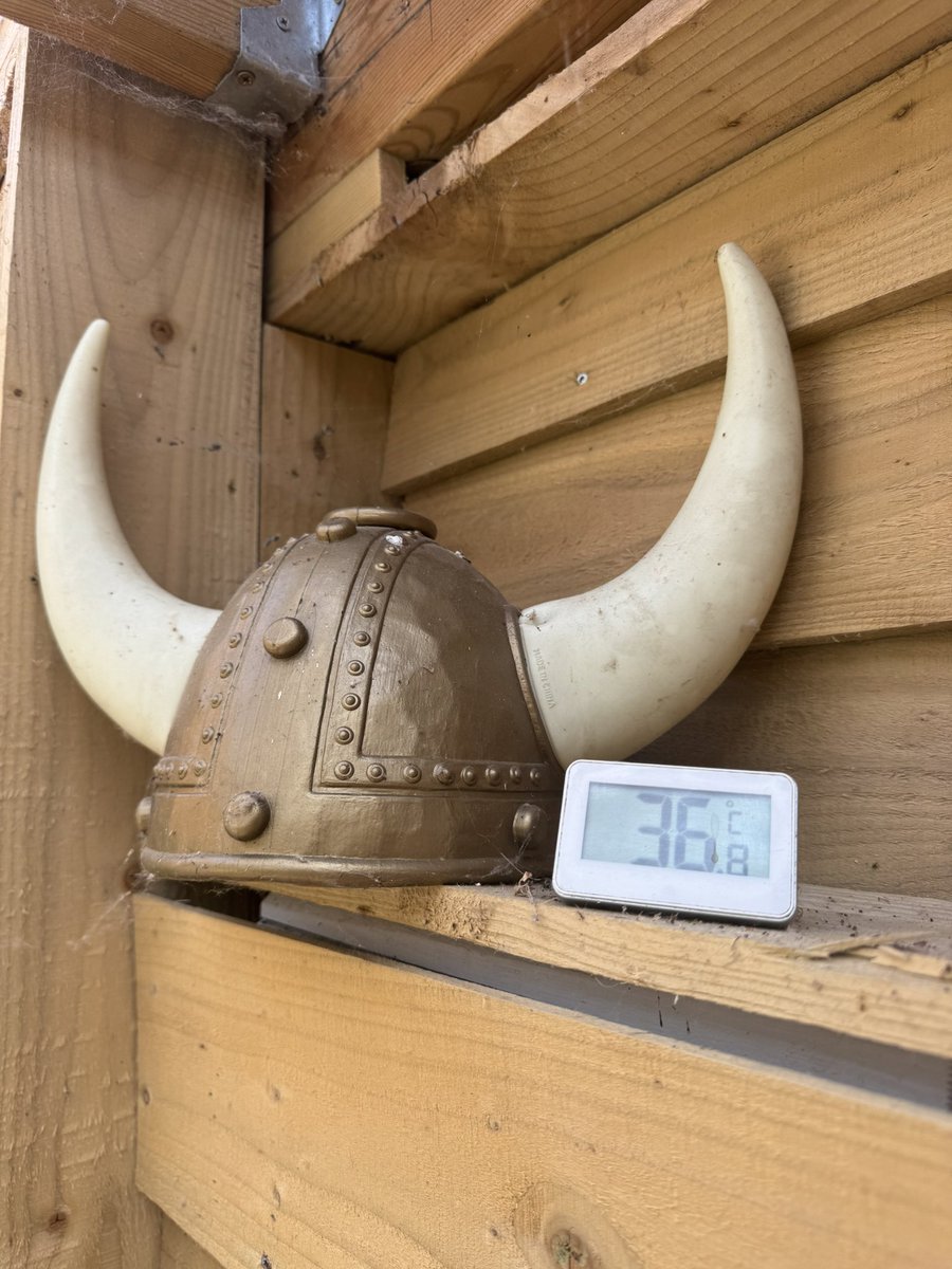 Not good for cask ales sales ! We slog and now sweat it out …. Government taxation, anti-growth policies. Now sweltering Temps - you could not make 2025 up …this Barrow Viking won’t give up 💪 #iwanttogrow #growthplease #letsgrowgdp #bii