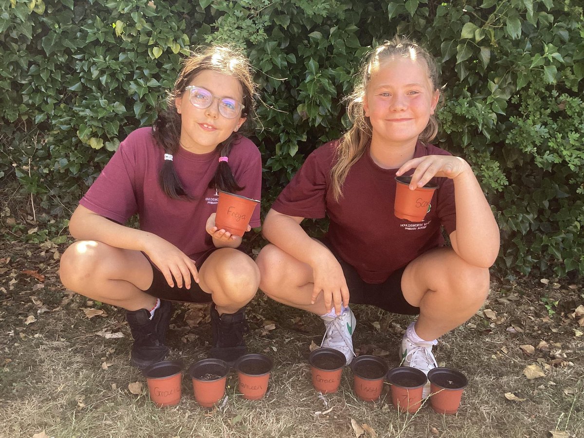Houldsworth Valley (@hwvpa) on Twitter photo As part of their <a href="/Curriculum_USP/">Curriculum with USP</a> science, year 5 have planted wild flowers. They will now take these home and hopefully grow some fantastic pollinators
🌺 As part of their <a href="/Curriculum_USP/">Curriculum with USP</a> science, year 5 have planted wild flowers. They will now take these home and hopefully grow some fantastic pollinators
🌺