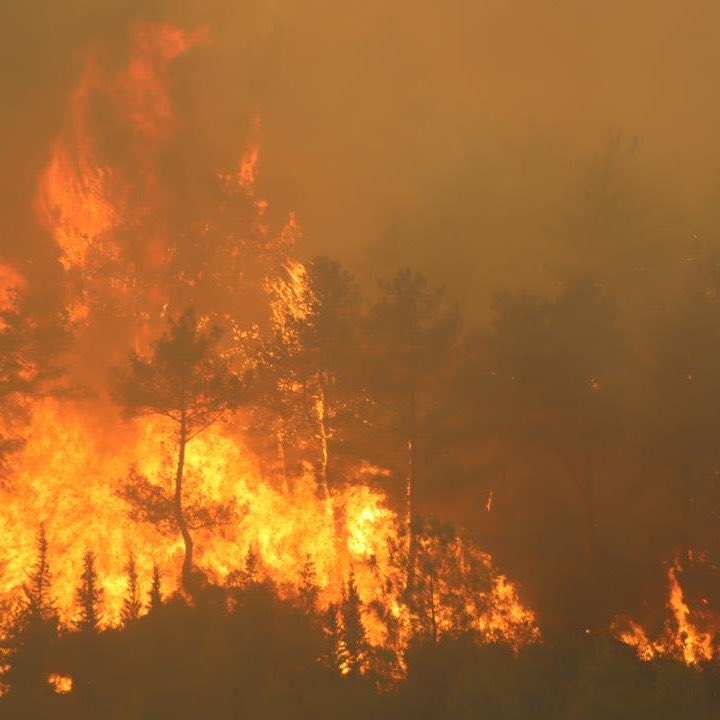 Hatay - Antakya'daki orman yangını kısmen kontrol altına alındı.

Soğutma aşamasına geçildi.