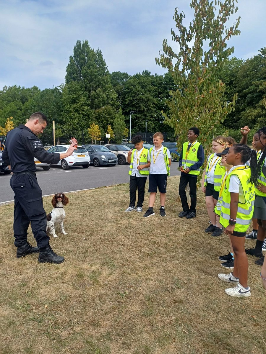 PerryCourtPri's tweet image. Last session of mini police today. Crime scene investigation 🔎, Police van fun &amp;amp; a visit from Harry and his furry friend Raven! Thank you @ASPolice the children have loved the experience 👮