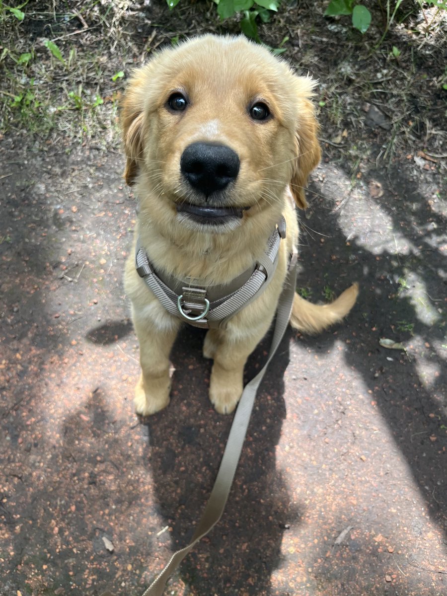 Stephanie Wolfe tweet media