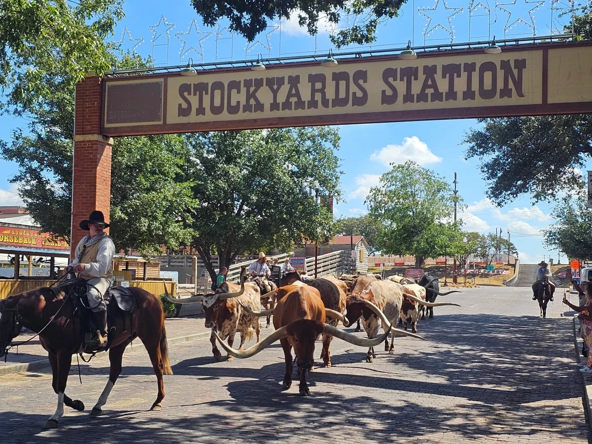 rayshortridge's tweet image. 