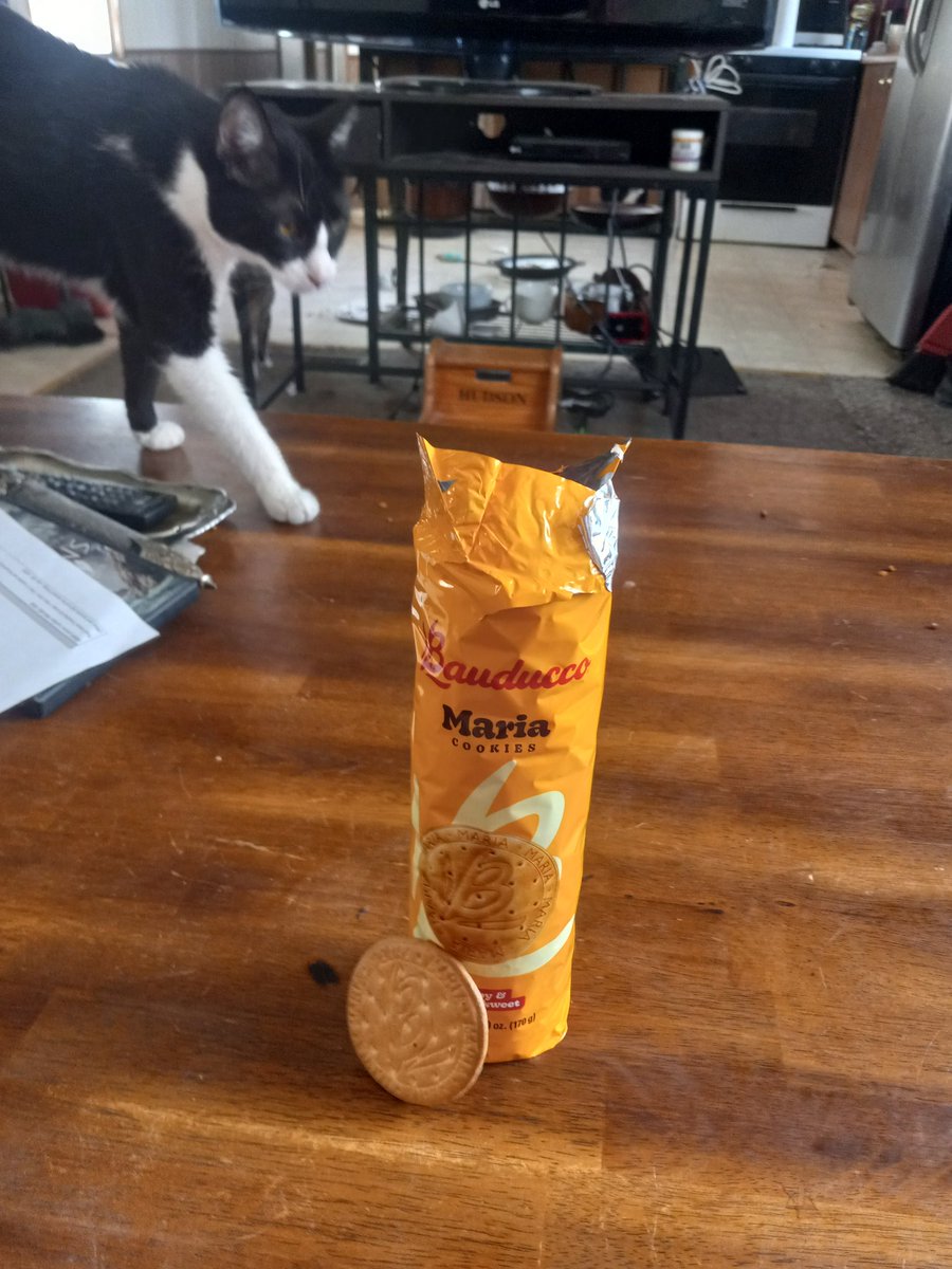 LValance44's tweet photo. Hey #theFuzz is moving in on my Brazilian Ciokies just scored at Walmart for under a Buck
😛 knew I'd like these f*ckers https://t.co/YxTHZ1SAq0