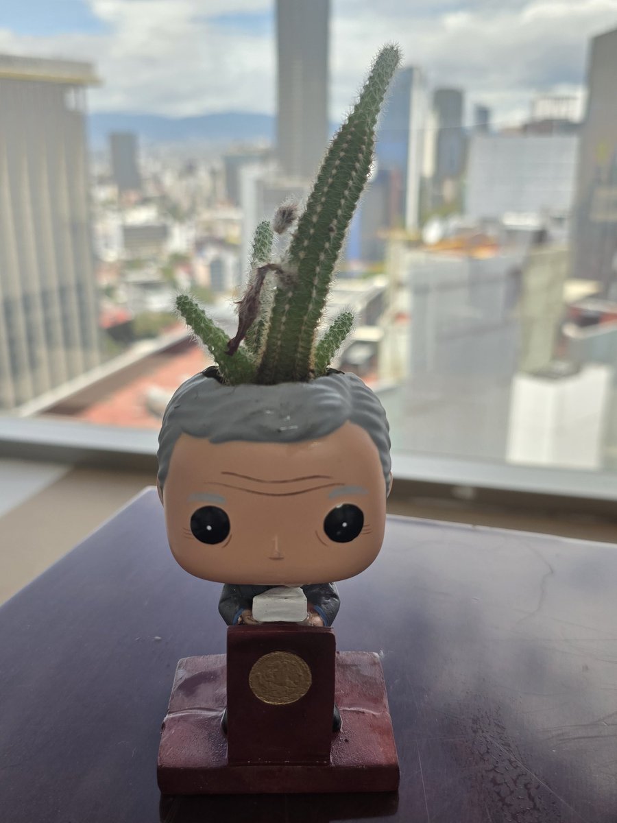 #7YContando ❤️
Escribiendo historia...🇲🇽