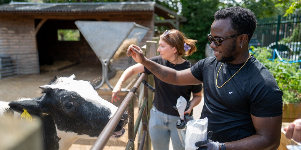 Canada Water Masterplan tweet media