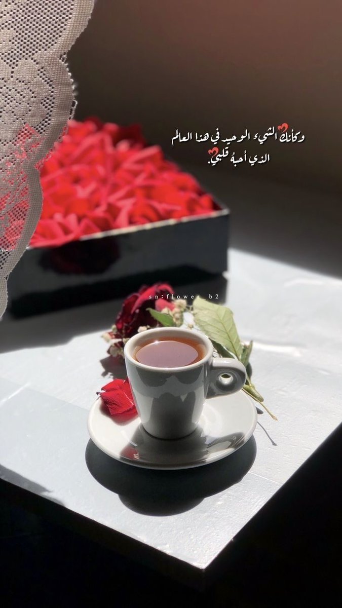 فداك عمرٍ تجيبه طواريك