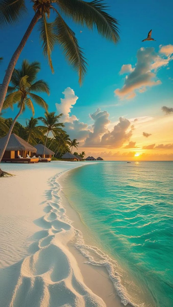 Land Lover (@landlover56) on Twitter photo 