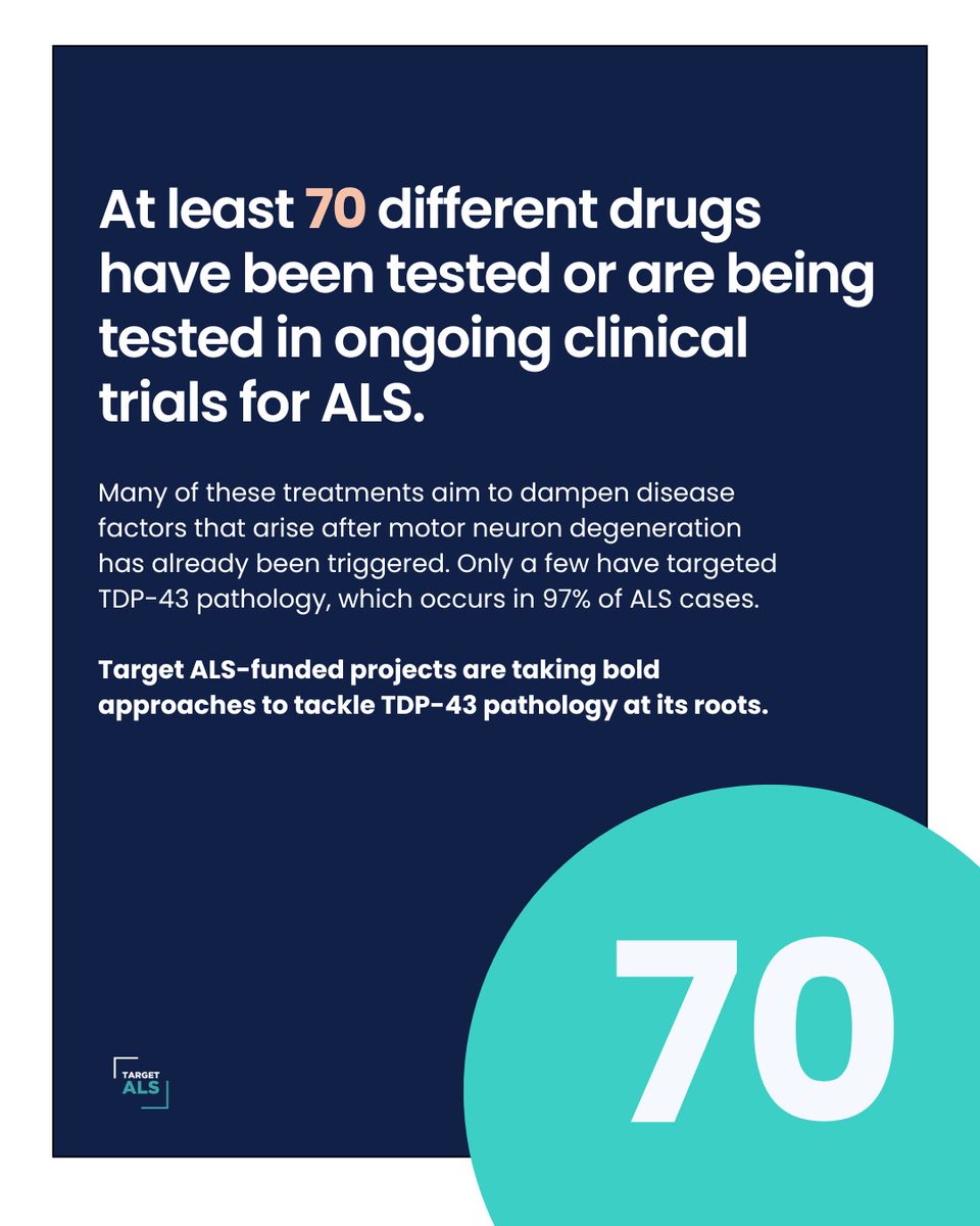 TargetALS_fdn's tweet image. Target ALS is funding a bold new wave of therapies aimed at TDP-43 pathology early in the disease process, with the potential to delay or even prevent symptoms.
Read how we're taking aim at TDP-43: bit.ly/45ZZDxU
#ALS #TDP43 #Neuroscience #EveryoneLives